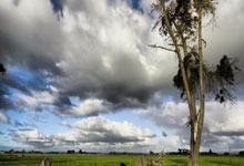 [NBA]马刺队超新星文班亚马赛季报销.