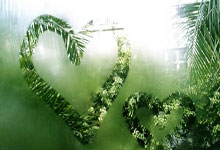 严打拐卖犯罪!2024年550余起拐卖案被侦破 被拐时间最长达30年.